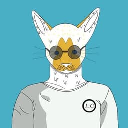 flexipsy - Community Manager